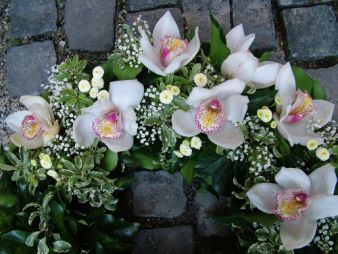 flower delivery Budapest - ivy wreath with orchids (60 cm)
