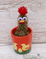 flower delivery Budapest - small cactus with chicken decoration in a pot in different colors