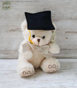 Graduation teddy plush 20cm