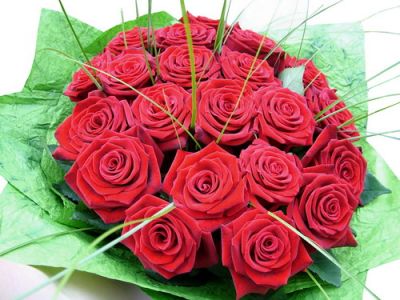 20 premium red roses in a round bouquet