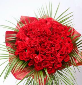 80 szál hosszúszárú vörös rózsa tömören kötve