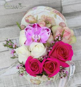 Rose-Box mit Orchidee (10 Stämme)