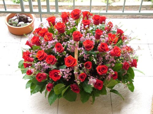 Korb mit 60 Rosen und 15 waxblumen