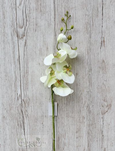 Kunst Orchideenzweig (87cm)