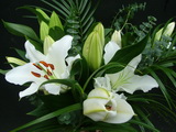5 sz�l feh�r orient�l liliom (40cm) - vir�gk�ld�s
