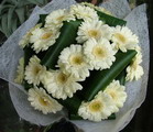 gerbera r�szv�tcsokor - vir�gk�ld�s