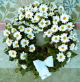 kis borosty�n koszor� feh�r margar�ta krizivel (40cm) - vir�gk�ld�s