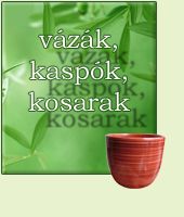 v�za kos�r kasp�
