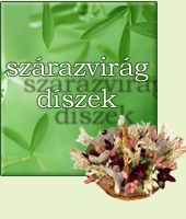 asztalid�sz sz�razvir�gb�l