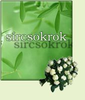 s�rcsokor