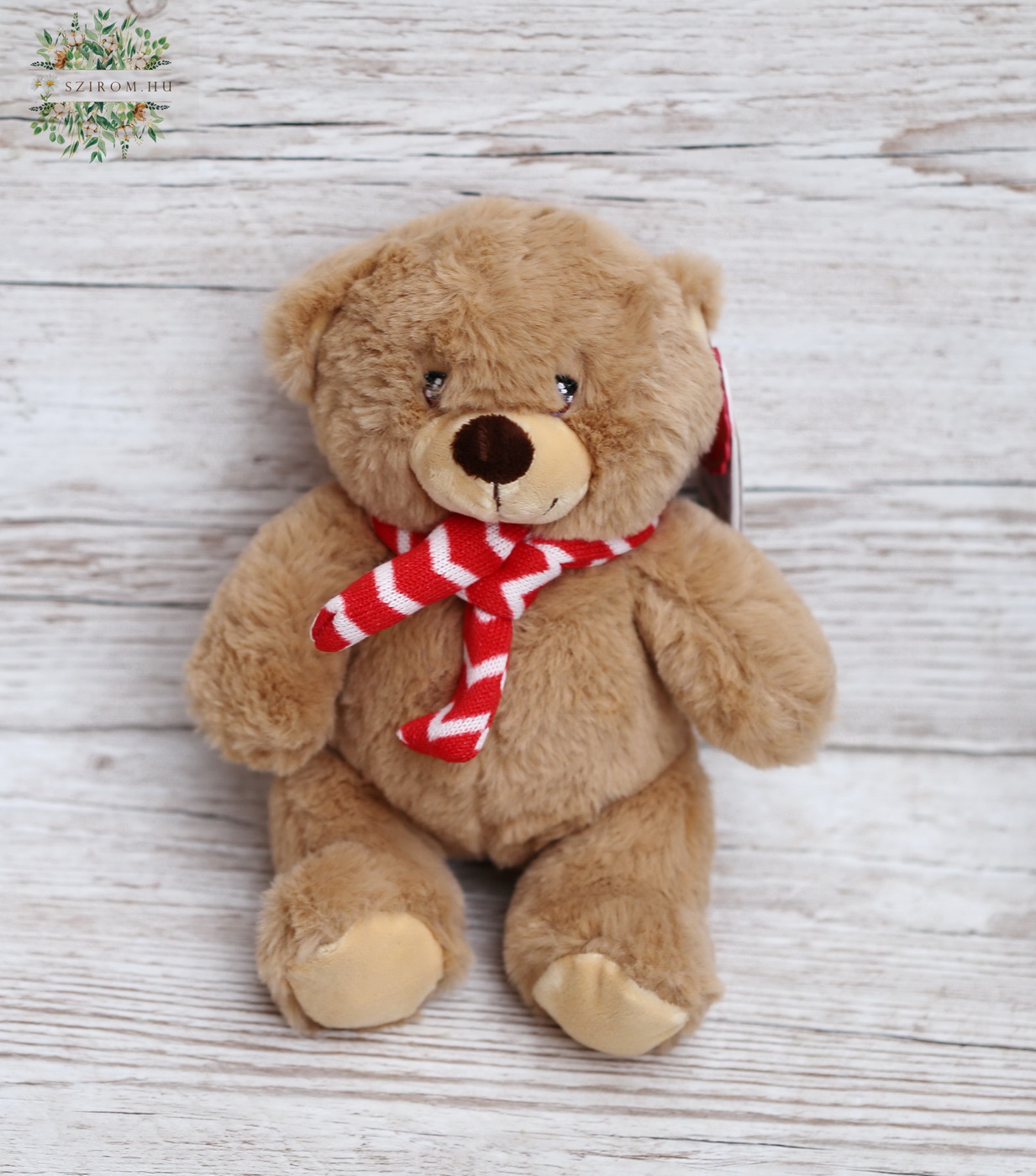 flower delivery Budapest - plush bear with scarf 20cm