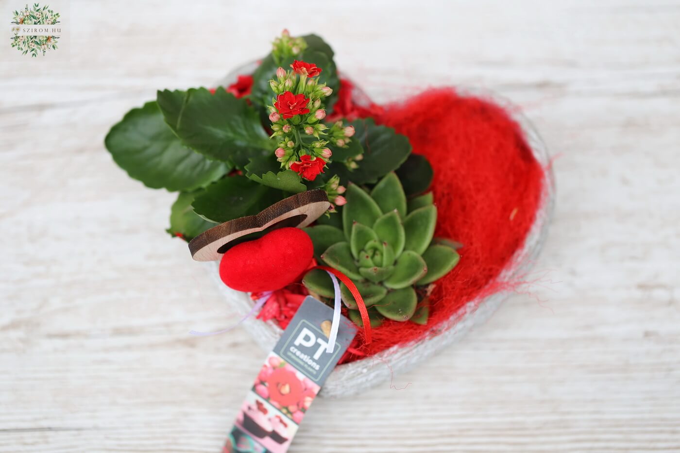 flower delivery Budapest - Plant arrangement in heart pot with kalanchoe and echeveria 