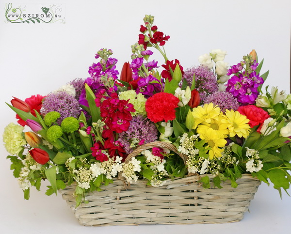flower delivery Budapest - Flowergarden basket (50 stems)