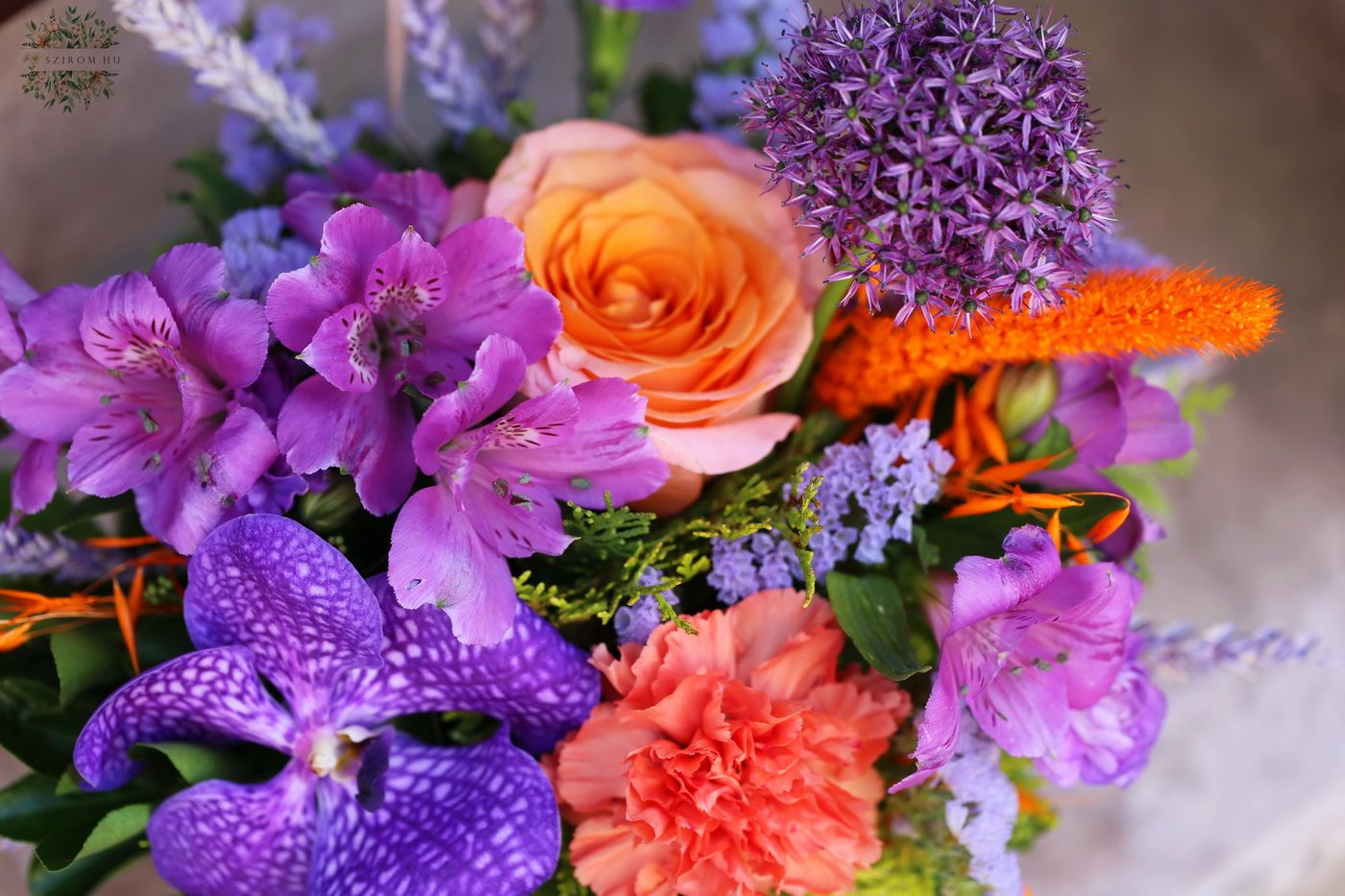 Blumenlieferung nach Budapest - Kleines, farbenfrohes Sommer Blumenarrangement in modernem Topf, mit Orchidee
