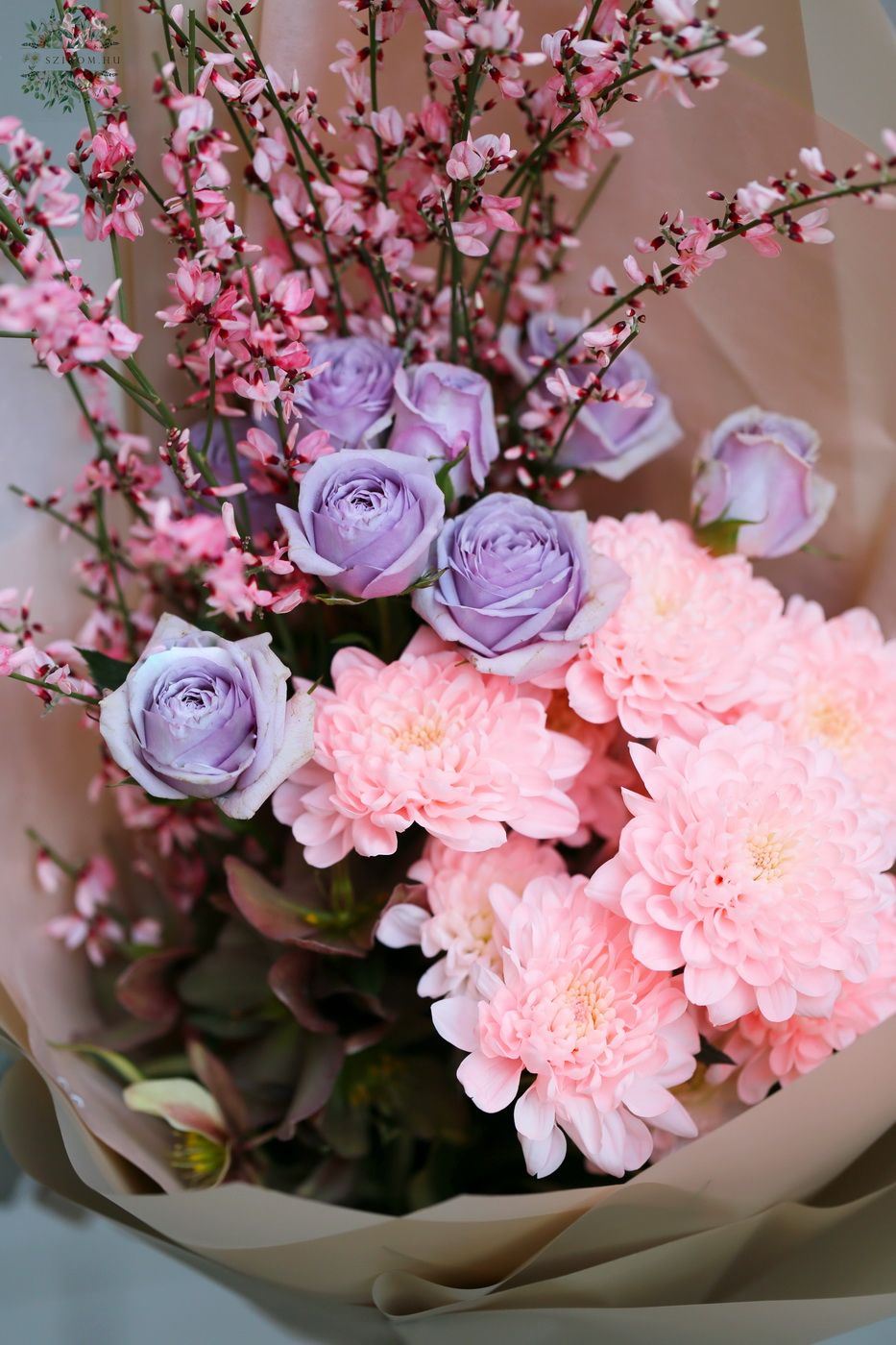flower delivery Budapest - Peach chrysanthemum with scented ginestra, spray roses (7 stems)