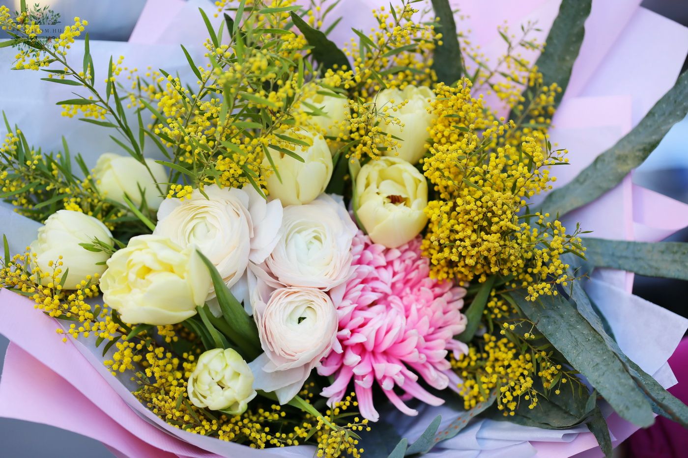 flower delivery Budapest - Mimosa bouquet with spring flowers, tulips, buttercups (15 stems)