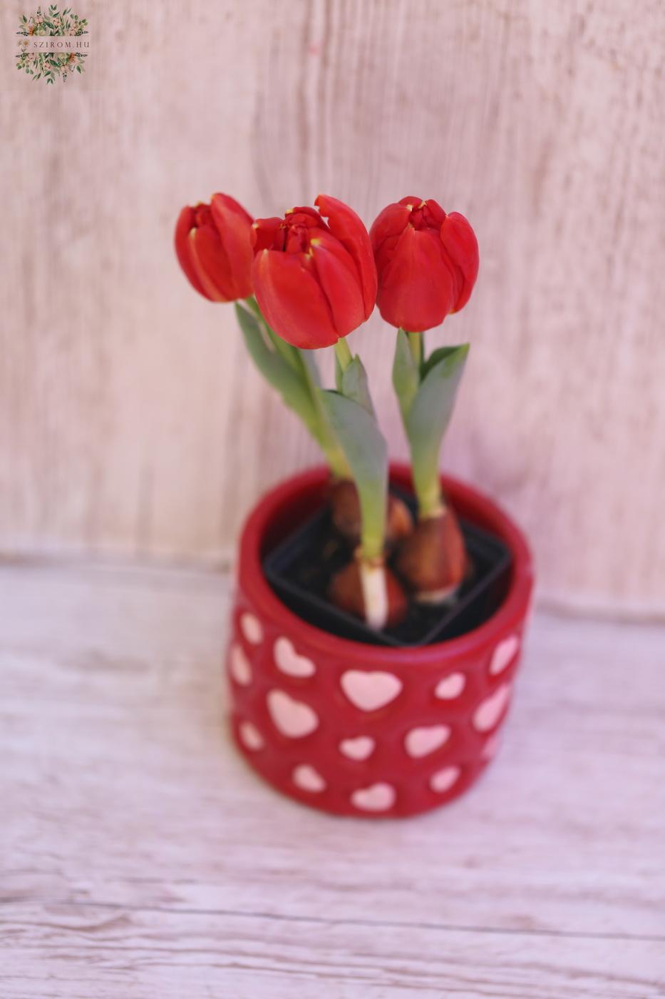Blumenlieferung nach Budapest - Rote Tulpen im Herz Topf