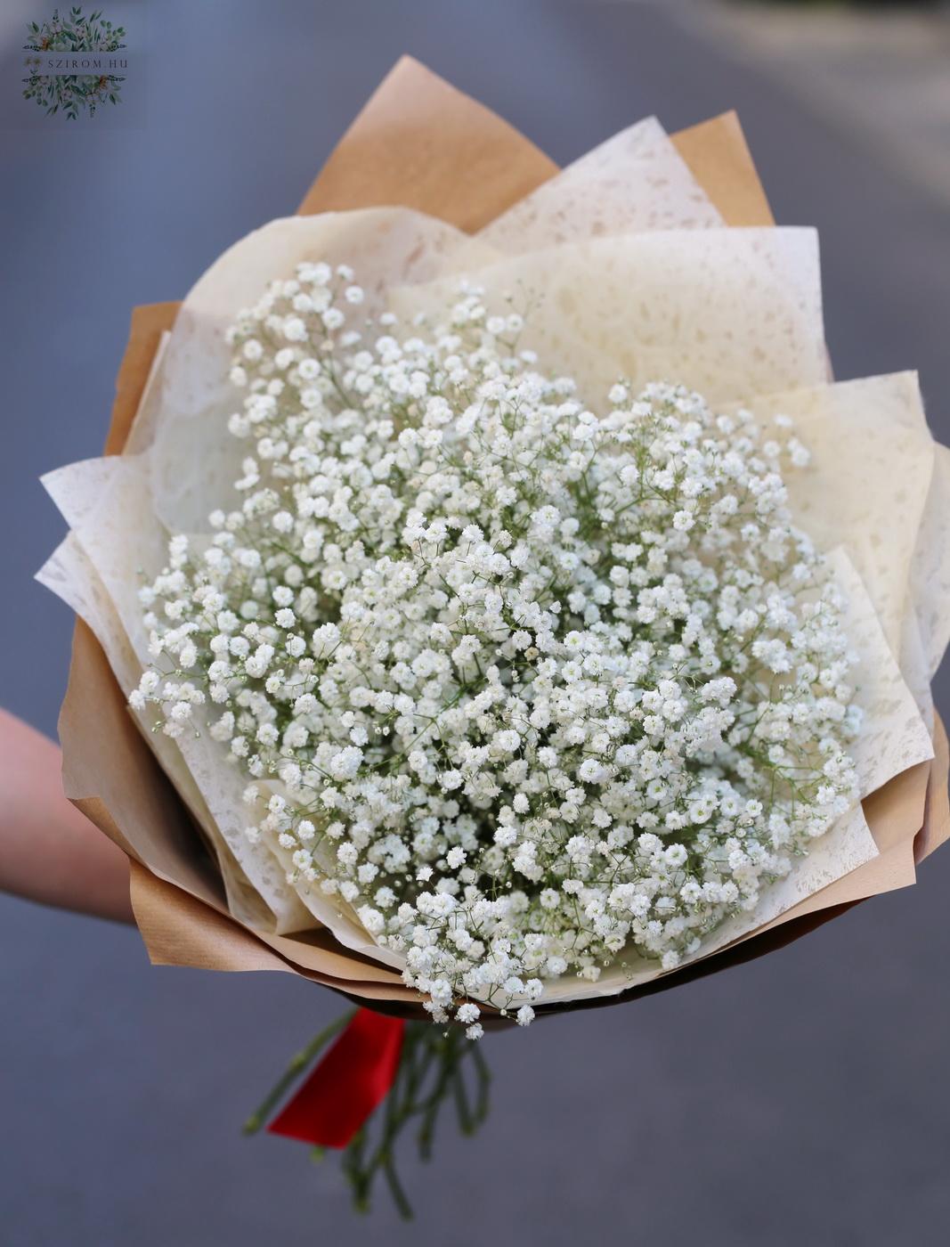 flower delivery Budapest - Gypsophila (babys breath ) bouquet (15 stems)