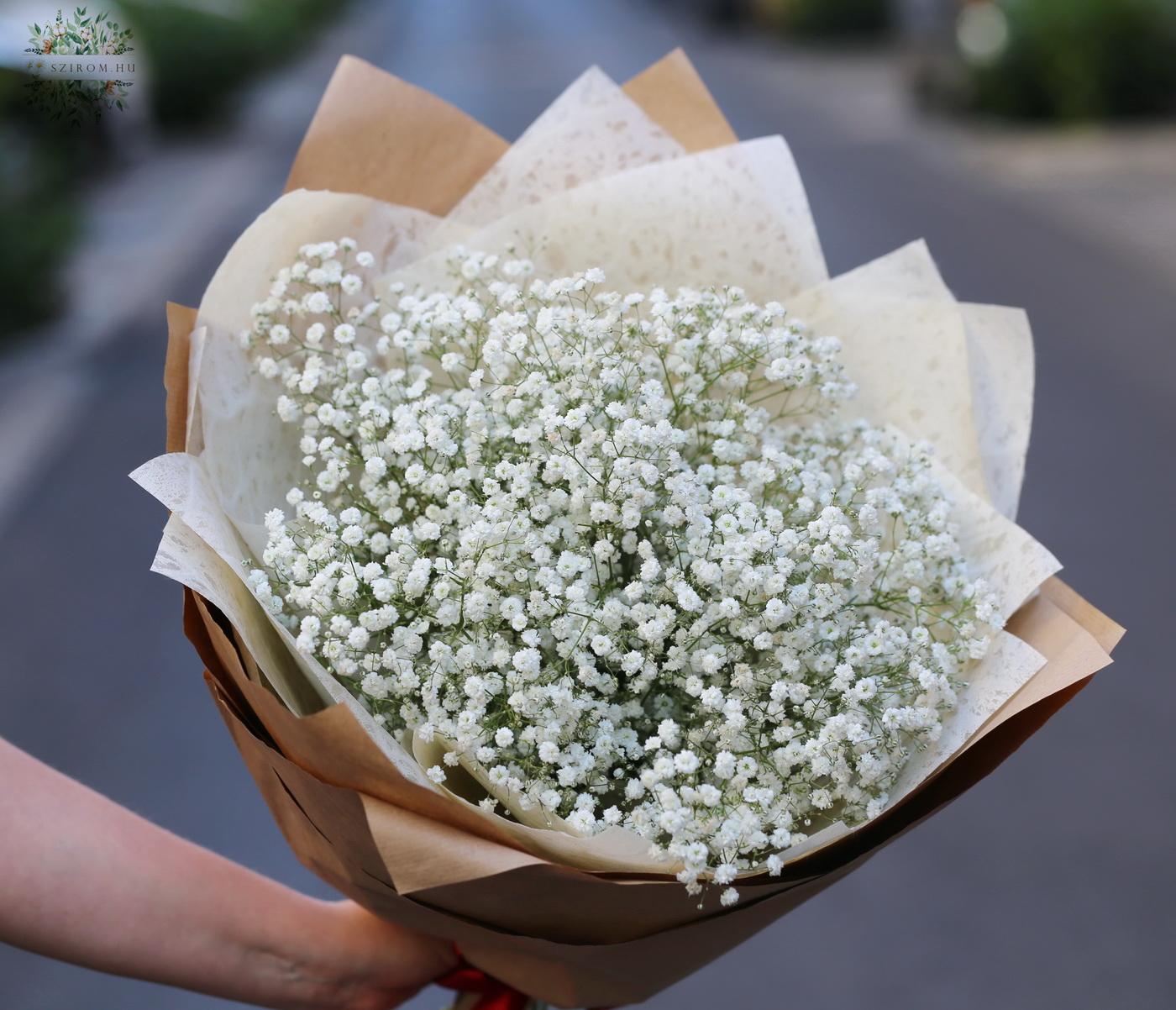 flower delivery Budapest - Gypsophila (babys breath ) bouquet (15 stems)