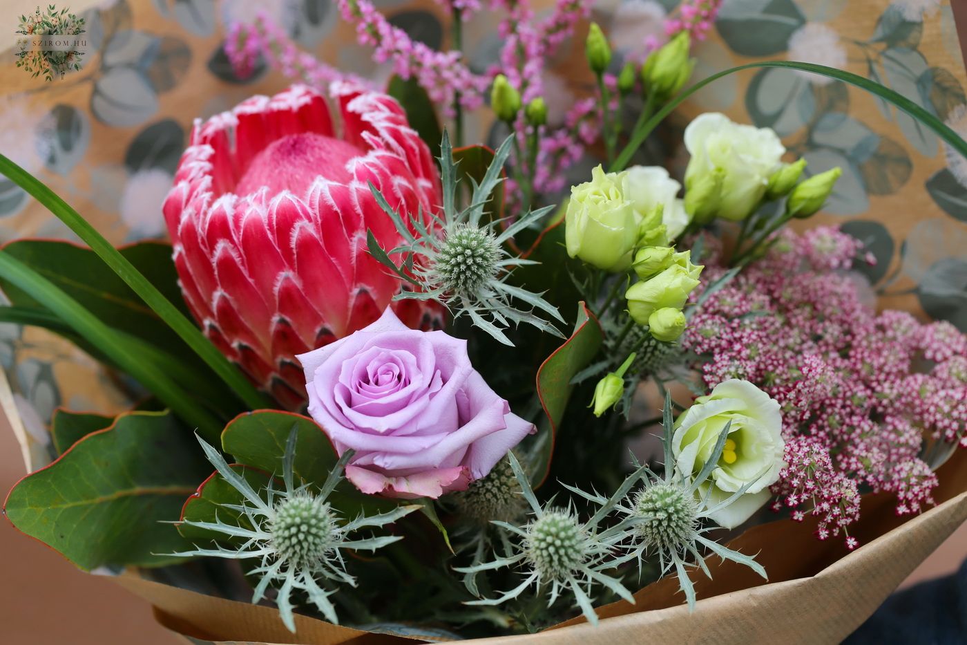 flower delivery Budapest - Silky protea with small flowers