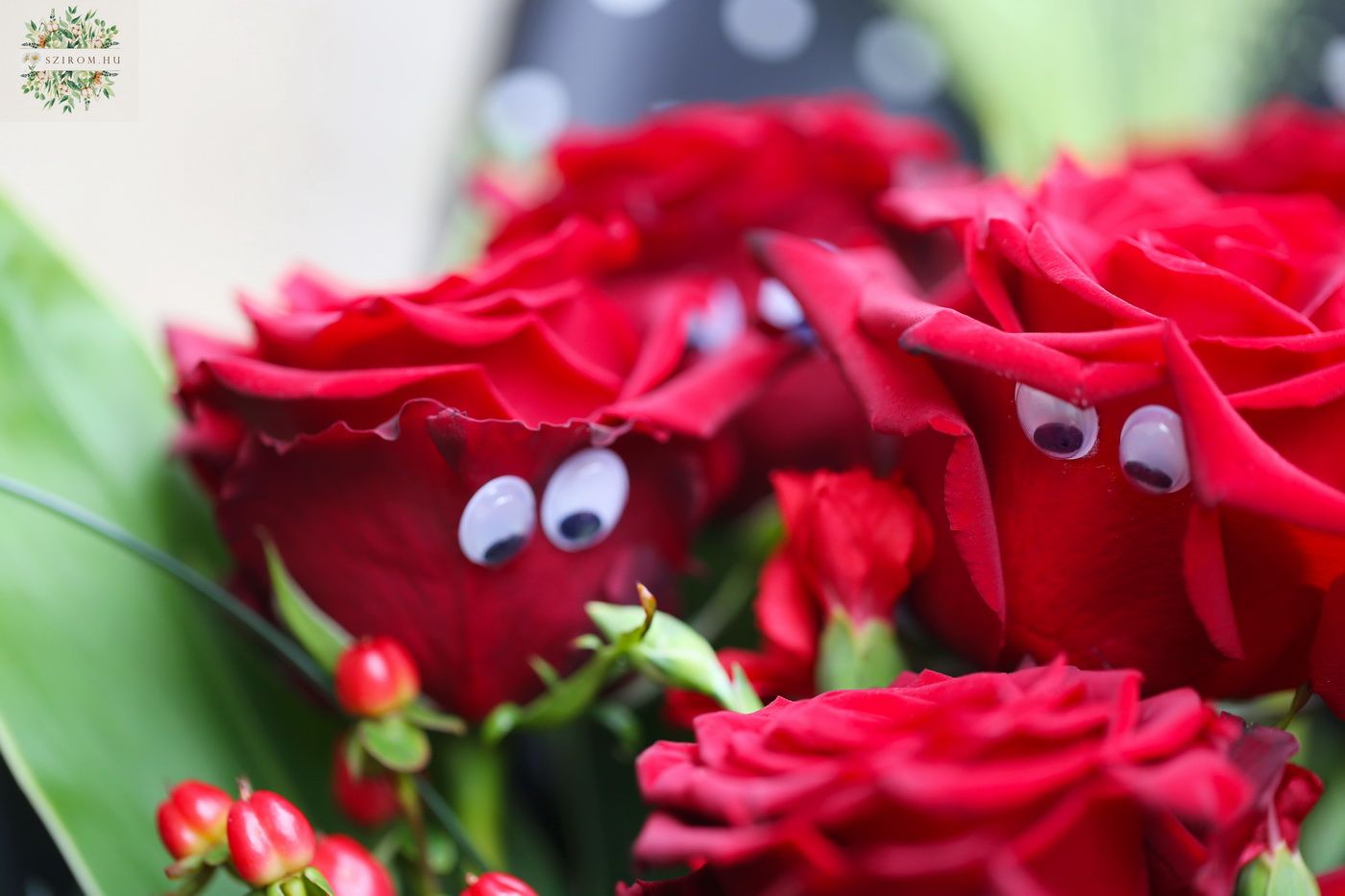 flower delivery Budapest - staring red roses ;) (11 roses + small flowers)