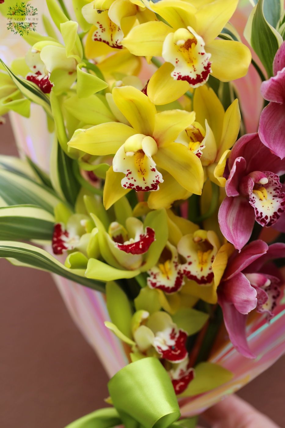 Blumenlieferung nach Budapest - Bunte Mini Cymbidium Orchideen im Strauss