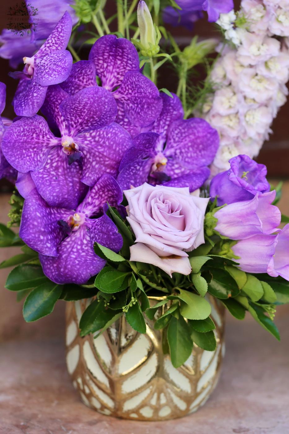 flower delivery Budapest - Vanda orchid stem with purple flowers in a beautiful pot