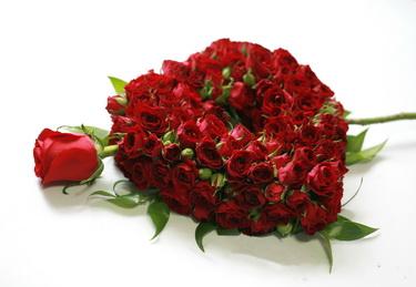 flower delivery Budapest - heart of mini red roses (20cm)