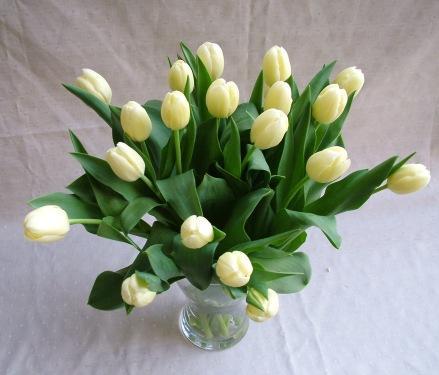 Blumenlieferung nach Budapest - 20 Tulpen in einer Vase
