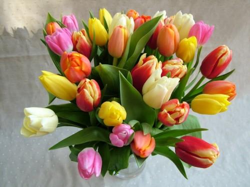 Virágküldés Budapest - 30 szál tulipán vázában