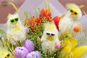 Osterküken mit Sonnenbrillen in einem Tulpenstrauß (12 Stiele)