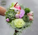 Kis kövirózsás csokor orchideával, flamingóvirággal, tulipánnal