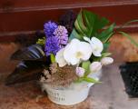 Saubere, moderne Blumenschale mit Tulpen, Hyazinthen, Orchideen und besonderen Blättern