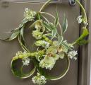 modern karika csokor orchideával (ornithogalum, kála, orchidea, zöld)