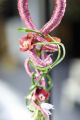 Moderner handgemachter Spiral-Brautstrauß mit Orchidee (rosa)