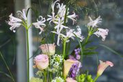 Moderne, luftige Hochzeit, Event Tischdekoration, Basis mit Röhrchen (lila, grün, Calla, Rose, Nerine, Rittersporn, Lisianthus)