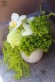 Modern green magic in a face-shaped planter