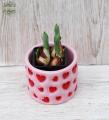 Rote Tulpen im Herz Topf