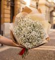 Gypsophila (babys breath ) bouquet (15 stems)