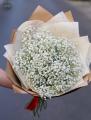 Gypsophila (babys breath ) bouquet (15 stems)