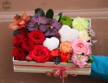 Romantische Farbverlaufsbox mit Gipsherzen
