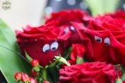 staring red roses ;) (11 roses + small flowers)