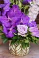 Vanda orchid stem with purple flowers in a beautiful pot