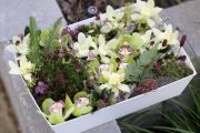 Virágbox, mohás erdei táj orchideákkal, apró virágokkal