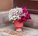 Blumenfrisur mit Dendrobium und Viburnum