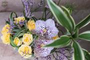 virágtál vanda orchideával, bokros rózsával
