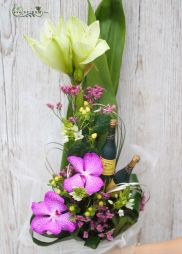 flower delivery Budapest - Amaryllis with vanda orchid in tall bouquet