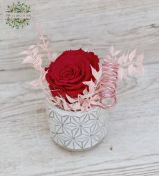 Blumenlieferung nach Budapest - Infinity Rose (Konservierte Rose) im Topf