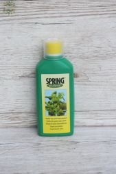 flower delivery Budapest - SPRING fertilizer for green plants (500ml)