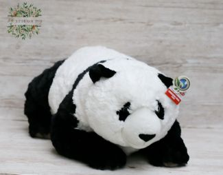 flower delivery Budapest - Plush panda 76cm